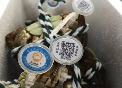 秋分時節(jié)蟹正肥，陽澄湖開湖迎豐收——2023年陽澄湖大閘蟹9月23日開捕，防偽體系再升級